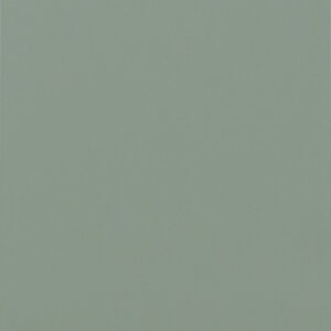 Evergreen Fog