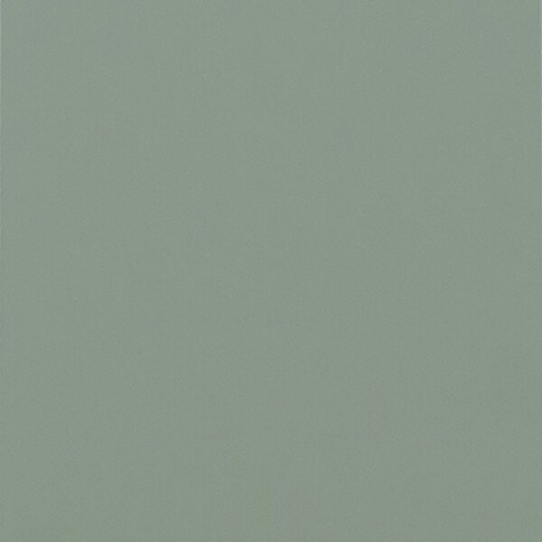 Evergreen Fog